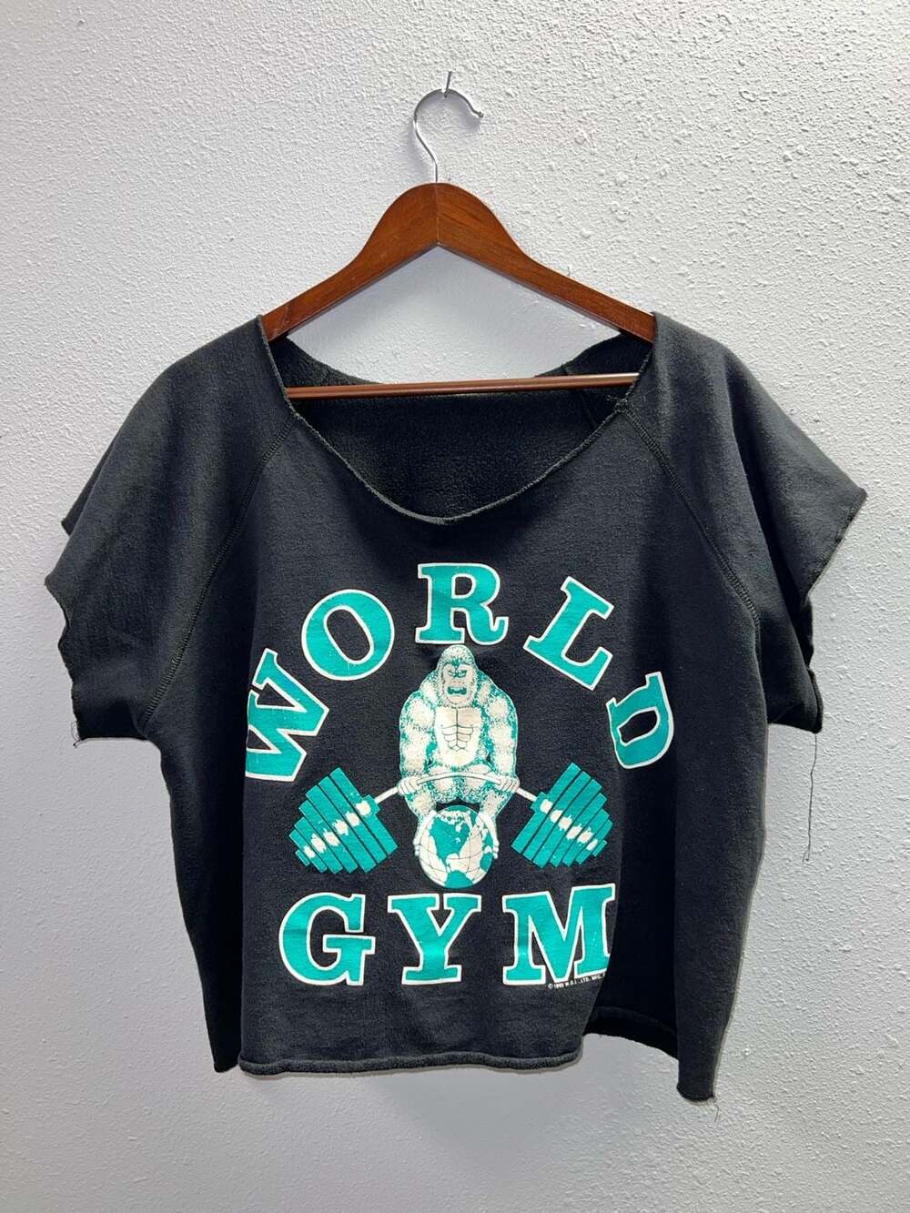 Vintage 1993 World Gym Crop Top Sweatshirt Cut Off Pump Black Gorilla 0236